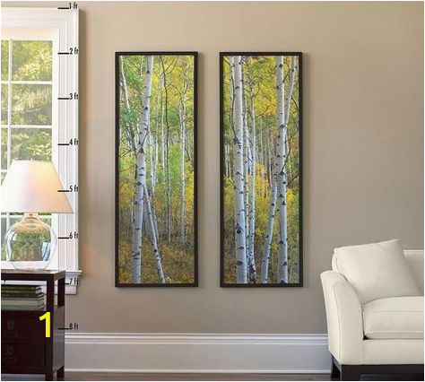 0dcd9711f4350cb9a299fd007fe048fc birch tree mural tree murals