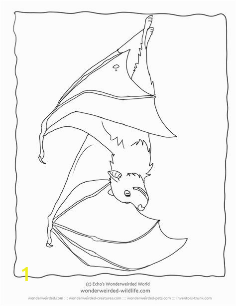 03cbf f536a4c b0cbffa05 coloring sheets for kids coloring pages