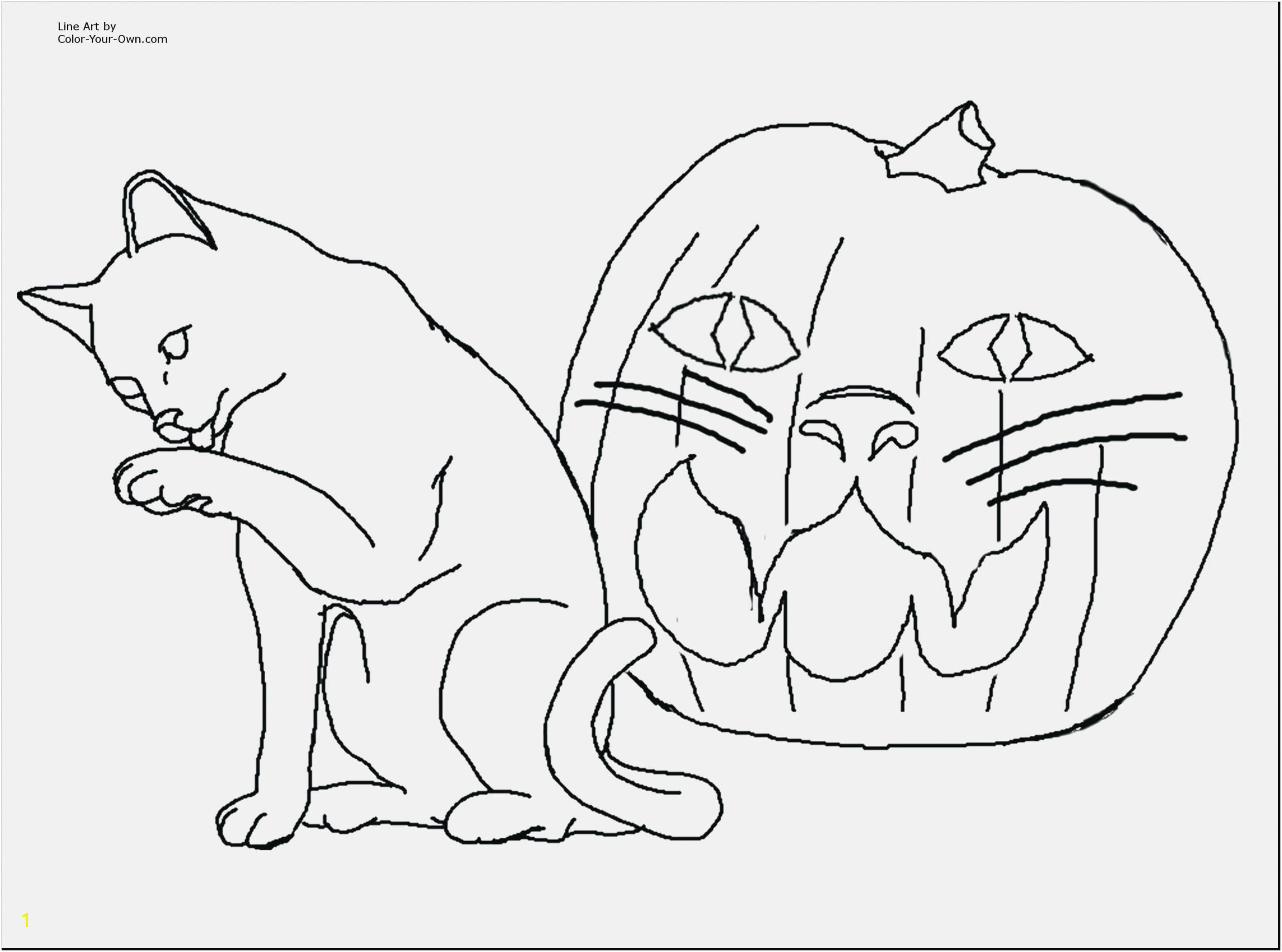 print coloring pages kitten scaled