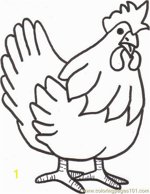Printable Rooster Coloring Pages Stunning Coloring Pages Chicken for Adults Picolour