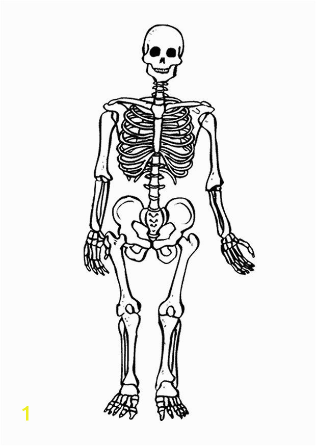 Printable Skeleton Coloring Pages Free Printable Skeleton Coloring Pages for Kids