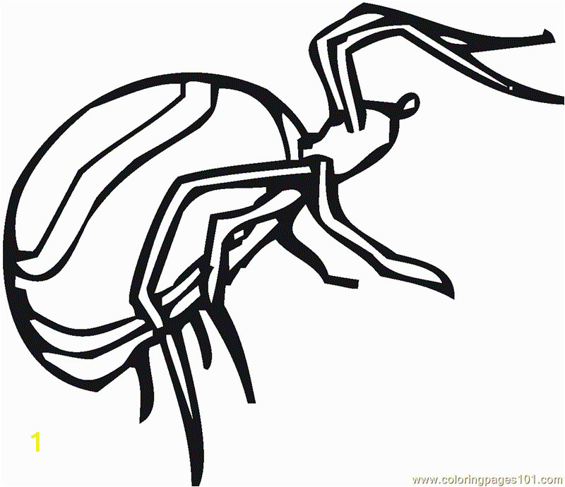 Printable Spider Coloring Pages Spider Coloring Pages