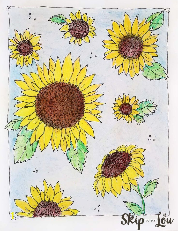 Printable Sunflower Coloring Page Kansas Day Sunflower Coloring Page