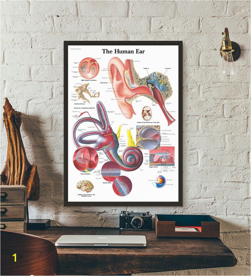 Prometheus Alien Mural On Wall Anatomical Chart Human Body Anatomy Medical Wall Art Wall Decor Silk Prints Art Poster Paintings for Living Room No Frame