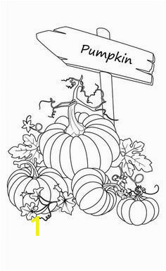 Pumpkin Coloring Pages for Kids Pumpkin Coloring Sheet for Your afternoon Pumpkin Patch Days