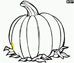Pumpkin Leaf Coloring Page Fall Harvest Coloring Pages