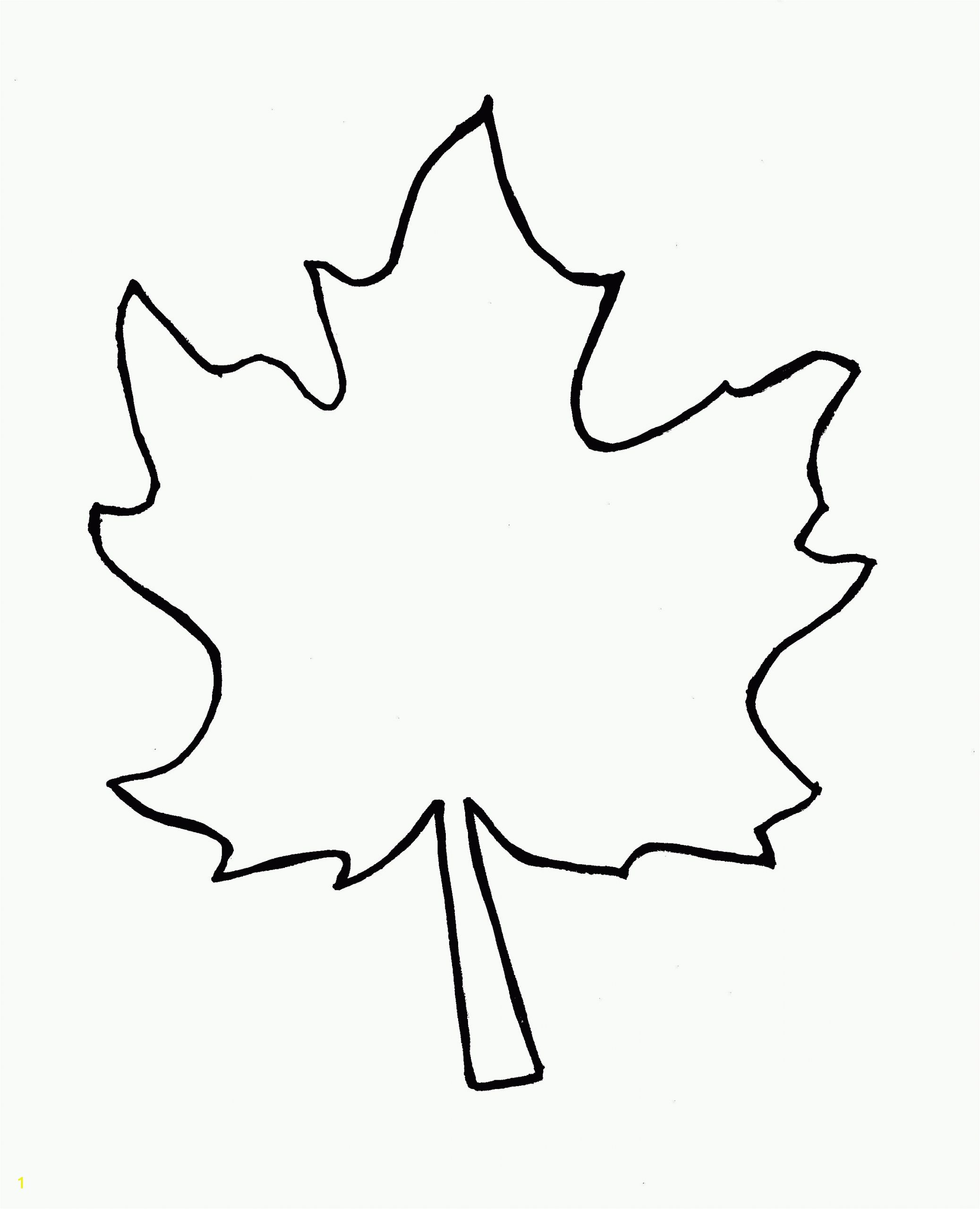 Pumpkin Leaf Coloring Page Sycamore Leaf Template Coloring Page