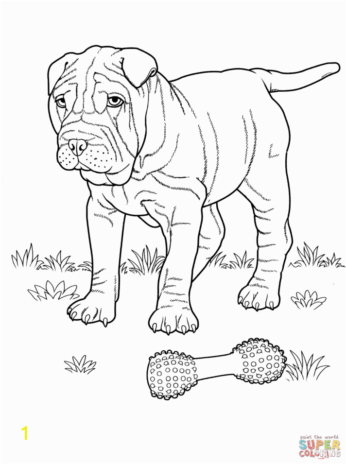 shar pei coloring page dog pages for kids dogs free baby puppy valentine and cat halloween sheets cartoon easy simple preschoolers 712x955