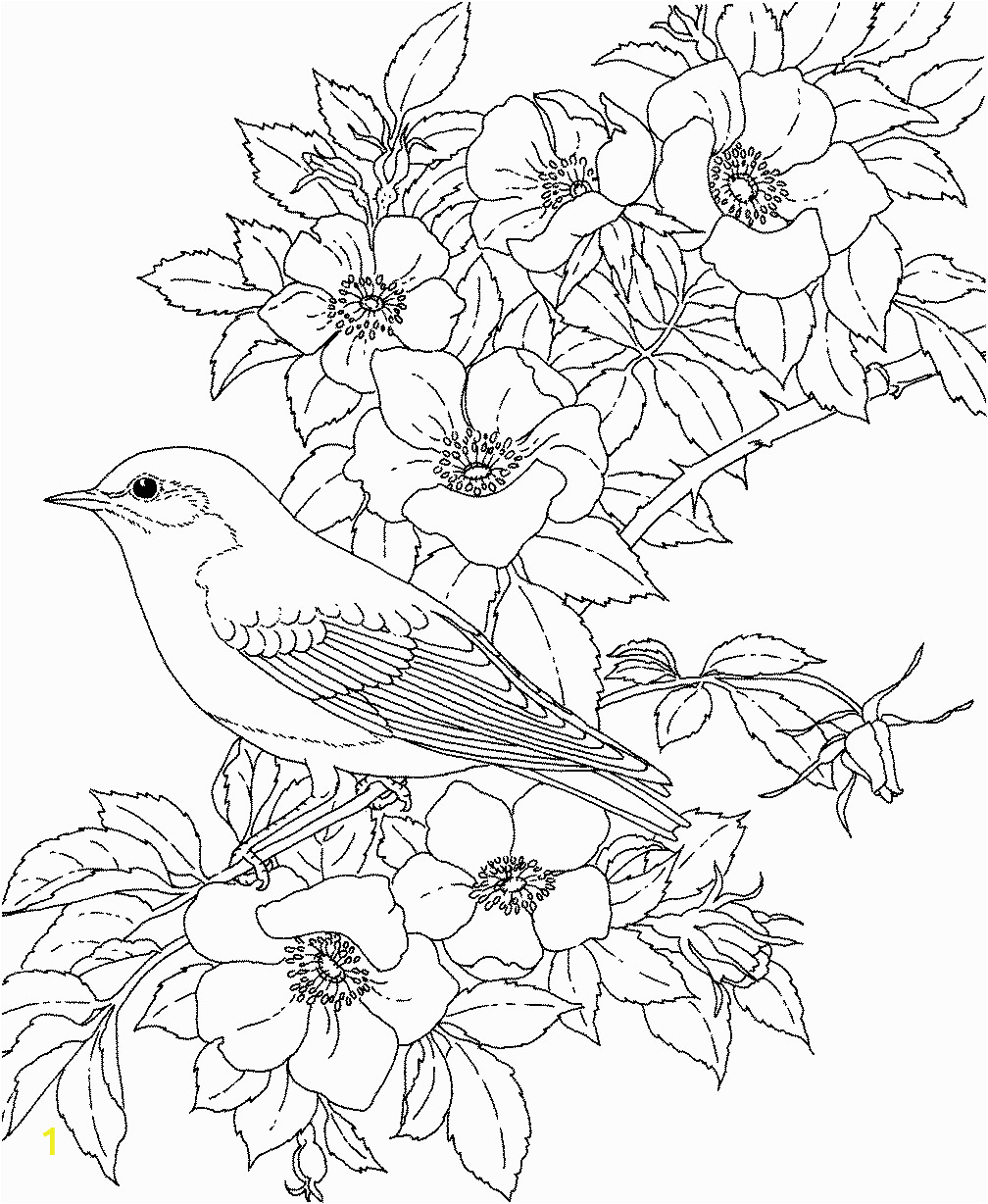 Realistic Flower Coloring Pages Divyajanan realistic-flower-coloring-pages-divyajanan