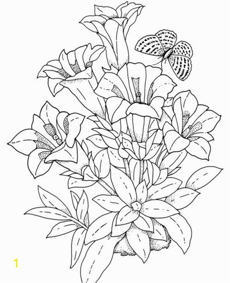 Realistic Flower Coloring Pages Download and Print Realistic Flowers Coloring Pages for