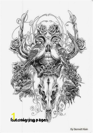 Realistic Lion Coloring Pages Awesome Coloring Pages Lion for Girls Picolour