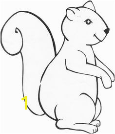 Realistic Squirrel Coloring Page 12 Best Squirrel Images