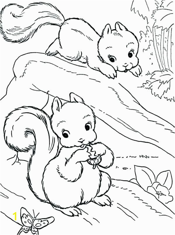 squirrel coloring pages enchanting squirrel coloring page image collection ideas pages squirrels free printable of scaredy squirrel coloring pages