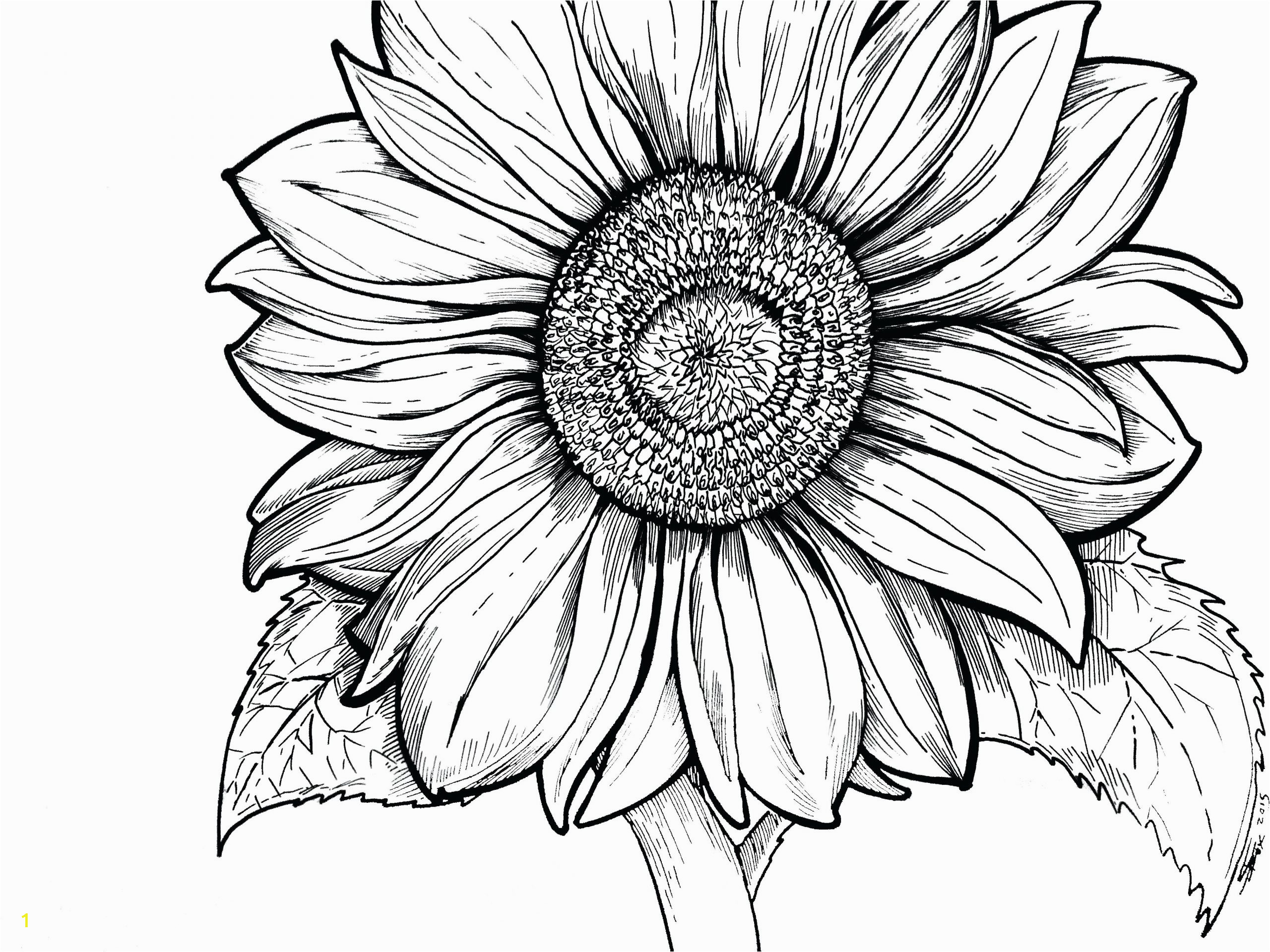 sunflower coloring page survival sheet odd sheets for young adults color pages free christmas to print scaled