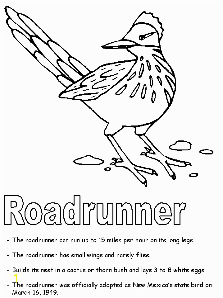 Roadrunner Coloring Pages Printable Free State Symbols Coloring Pages Download Free Clip Art