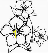 Rose Bouquet Coloring Pages Big Flower Colouring Pages
