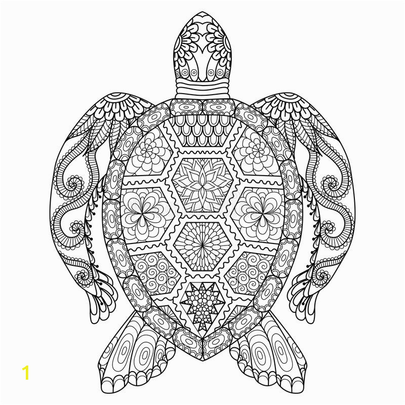 drawing zentangle turtle coloring page shirt design effect logo tattoo decoration
