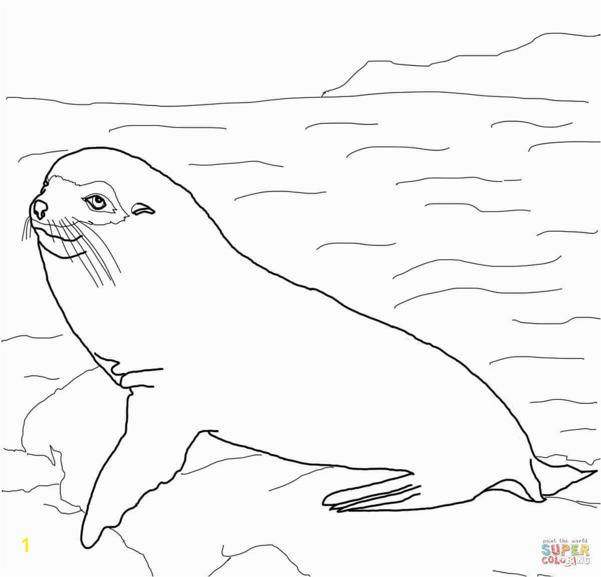 Sea Lion Coloring Page Galapogas island Colouring Sheets Google Search