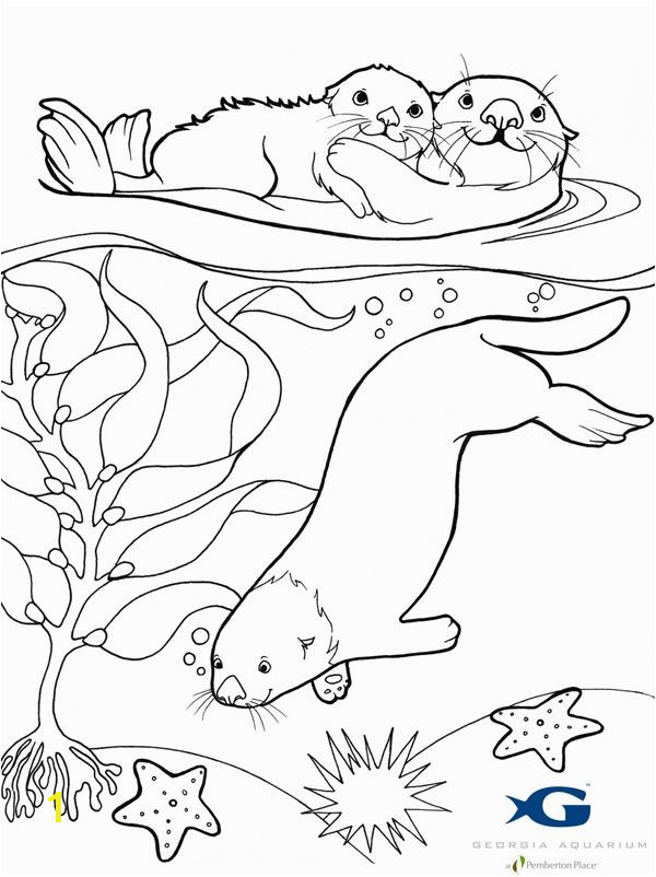 96cb011d b e70e b sea otter coloring pages google search sea otters pinterest 600 802