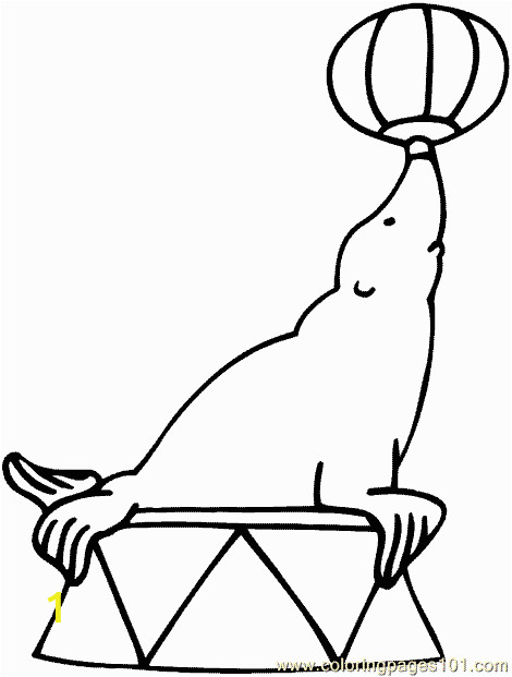 sea lion coloring page 04