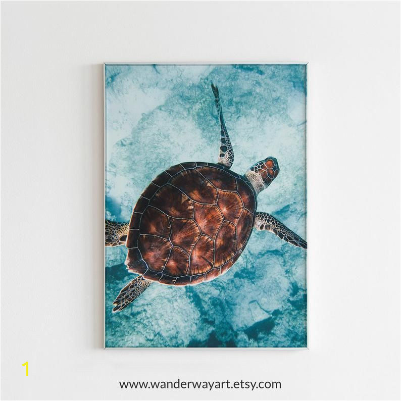 Sea Turtle Wall Mural Turtle Print Turtle Wall Art Ocean Print Oacen Wall Art