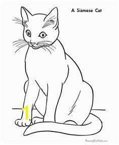 4252bddedbba3ab9d17f5debcdbb7979 flower coloring pages cat coloring pages for kids