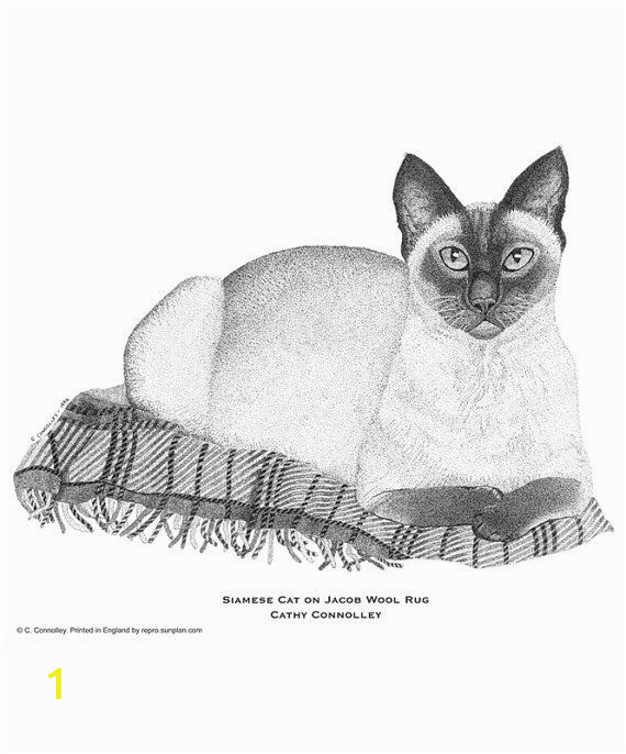 Siamese Cat Coloring Pages Pin On Sketch It