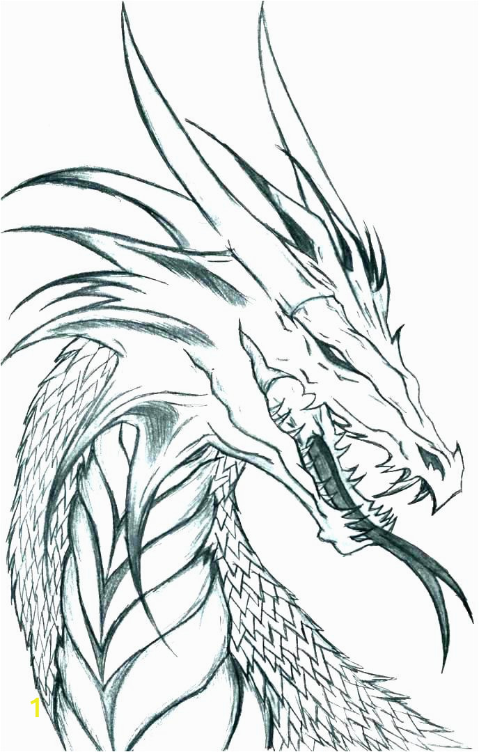 9bd5d90de3abd2d8b46ac6b realistic dragon coloring pages for adults night real cool colo 688 1080