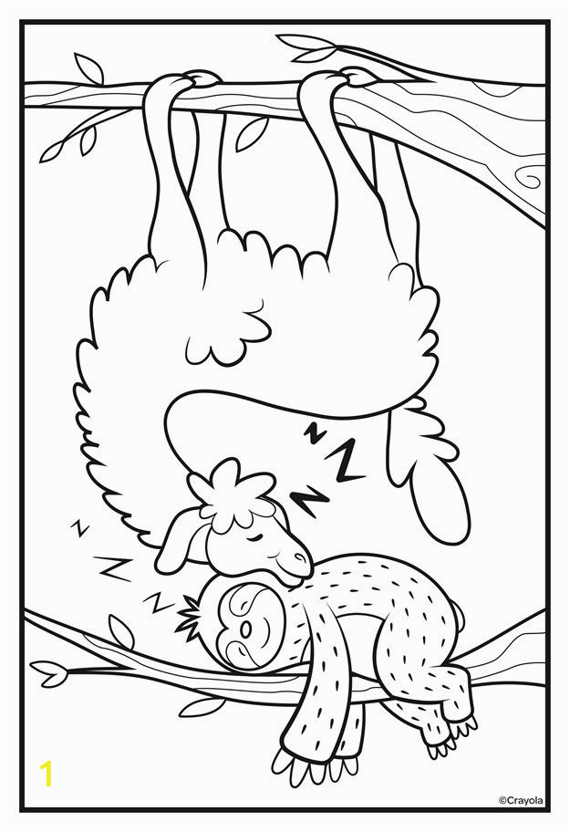 Sloth Coloring Pages for Kids Sloths and Llamas Nap