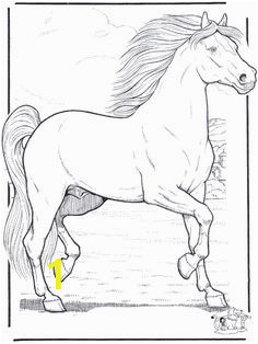 e20da6c17d41a568c917c46b0a616de2 horse coloring pages adult coloring pages