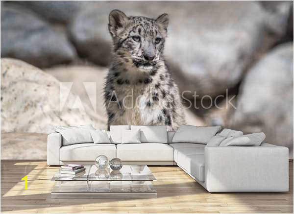 home design living room sofa apartament marco cute baby snow leopard A