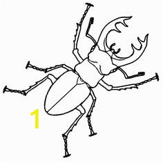 Stag Beetle Coloring Page 140 Best Stag Images