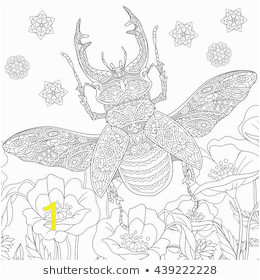 zentangle stylized cartoon stag beetle 260nw