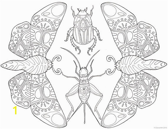 Stag Beetle Coloring Page Printable Adult Coloring Page Mandala Insects Moths Beetles