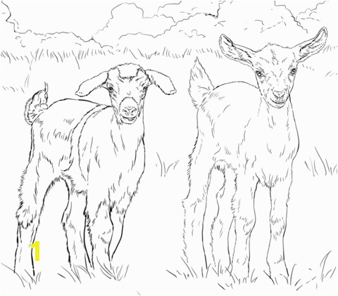 Stuffed Animal Coloring Pages Baby Goats Coloring Page
