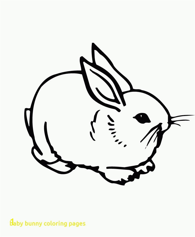 02b6c0c61dc3269c941a32bfcdc8d1f1 quickly pictures of rabbits to color improved simple bunnies 820 997