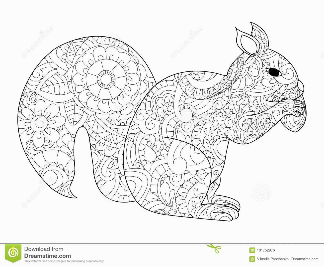 raster illustration squirrel nut zentangle ethcnic style tattoo coloring page t shirt card poster print design