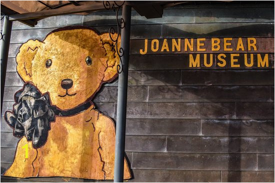 Teddy Bear Wall Mural Joanne Bear Museum Picture Of Joanne Bear Museum Seogwipo