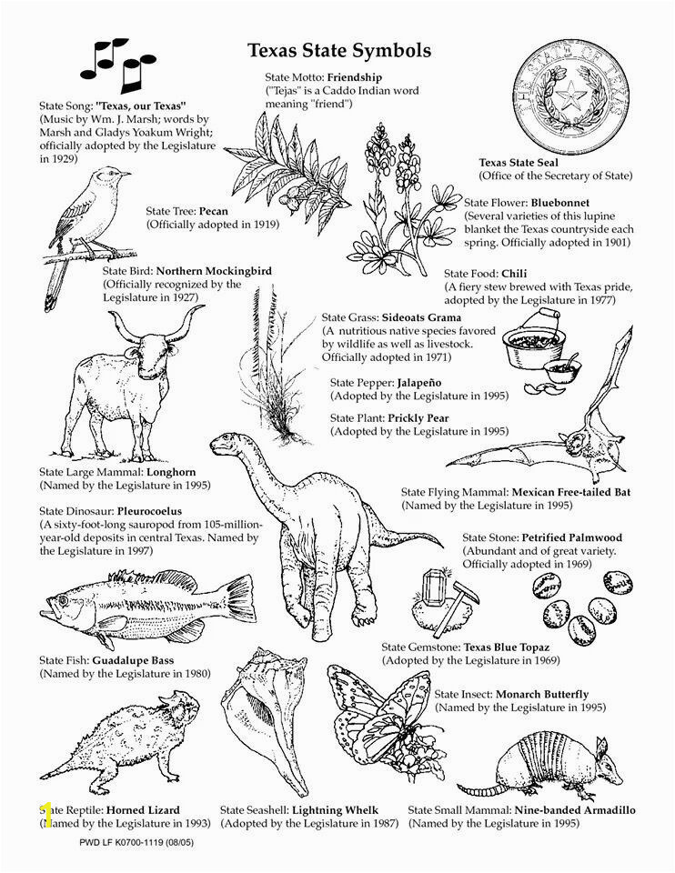 Texas Longhorns Coloring Pages Pin by Christye Price On Texas