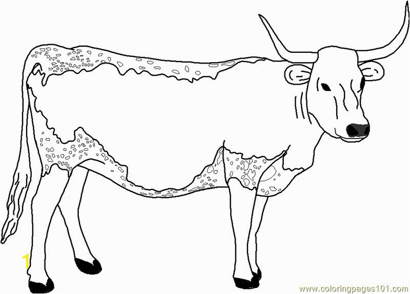 Texas Longhorns Coloring Pages Prodigious Coloring Pages Cow for Adults Picolour