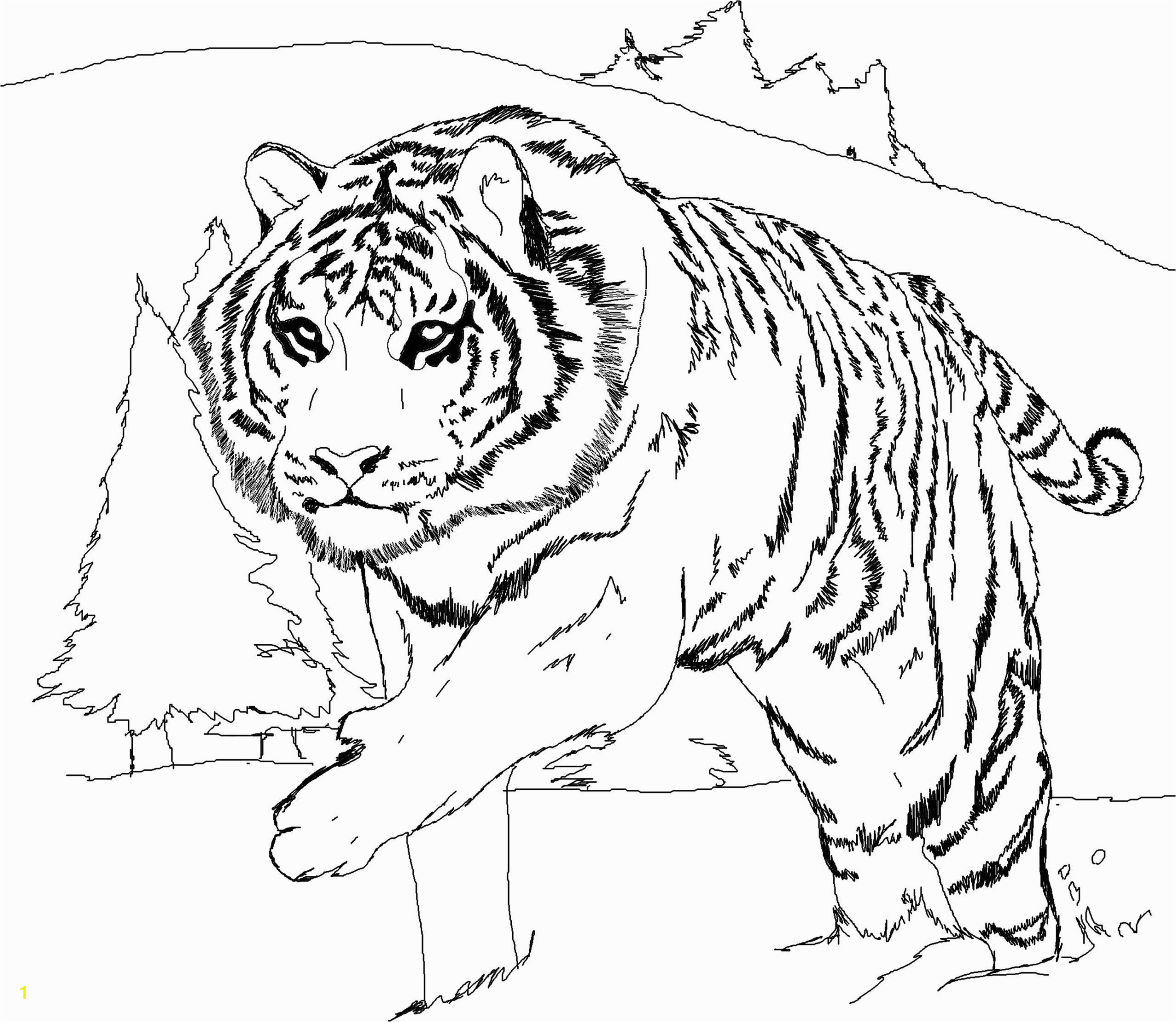 tiger coloring in pages fresh 59 most awesome tiger coloring pages for kids printable of tiger coloring in pages