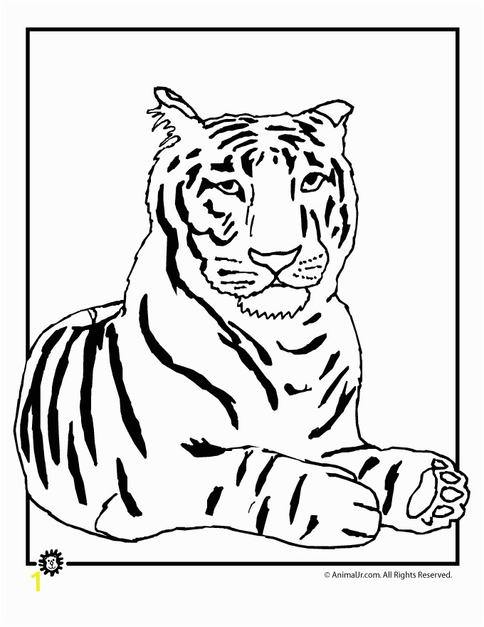 Tiger Outline Coloring Page Outline A Tiger Az Coloring Pages