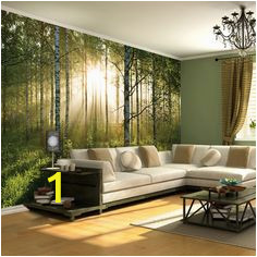 14b6ec909ca9f318b d db wall murals color binations