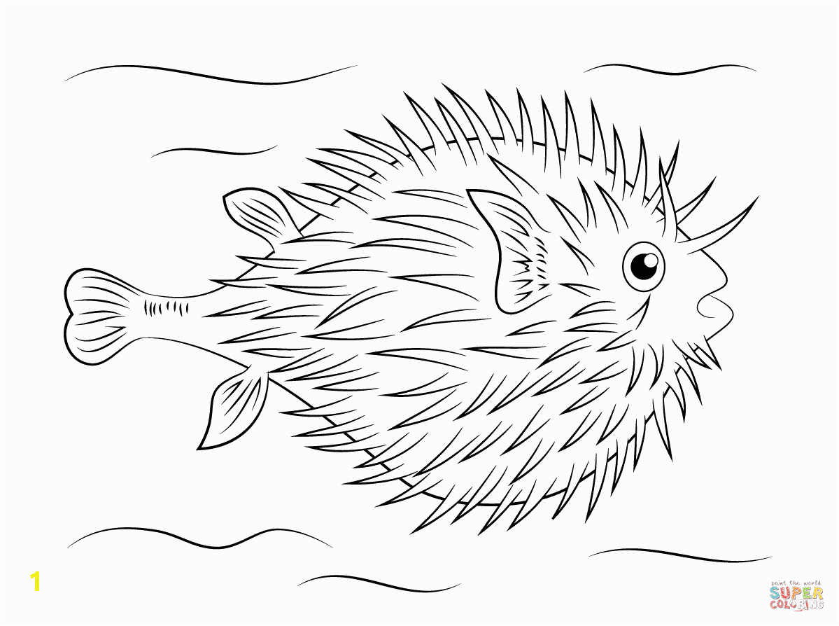 8d1cfe52b6c6b86c9bce05ae5058bbd1 tropical fish coloring pages free printable pictures 1199 894