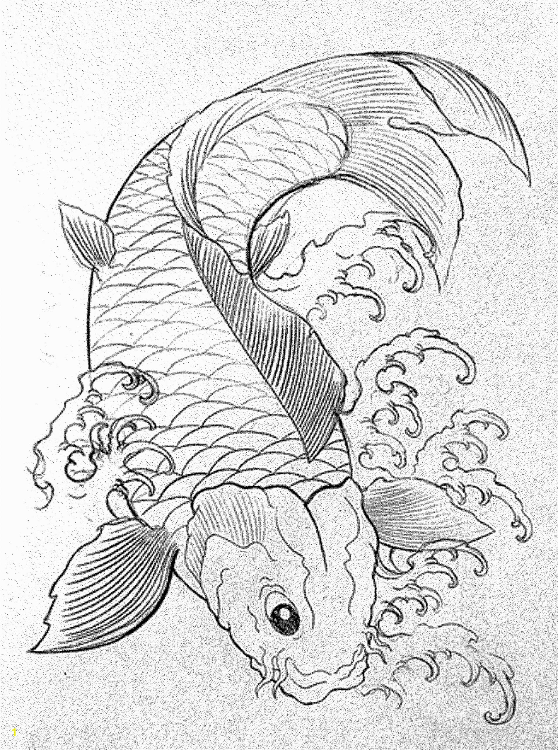 e75a15d71c1b75cf6d69d02a1f5a140c exotic fish drawing at drawings free for personal use 2000 2688