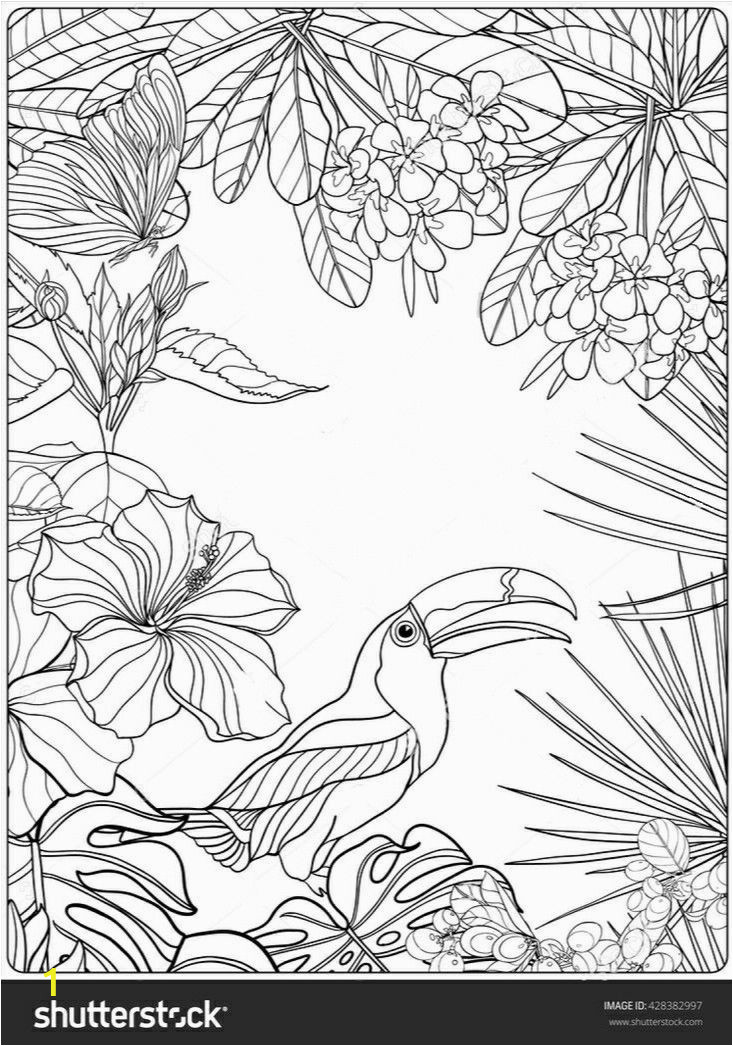 Tropical Flower Coloring Pages Pin by Araba Bo On Pics for Coloring Pinterest