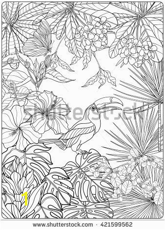 Tropical Flower Coloring Pages Tropical Wild Birds and Plants Tropical Garden Collection
