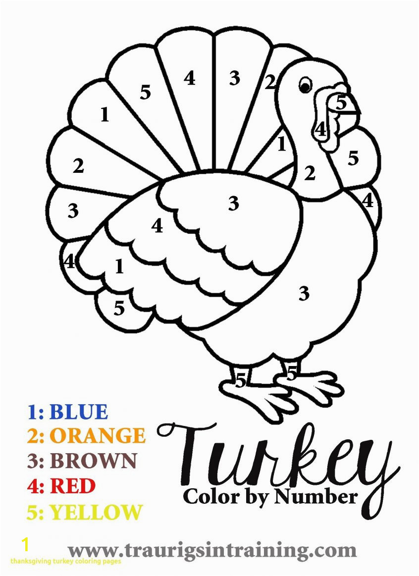 simple coloring picture of turkey thanksgivinges with color free to print animals printable for adults fairies pages ideas thanksgiving panda octopus page sheep bear 846x1163