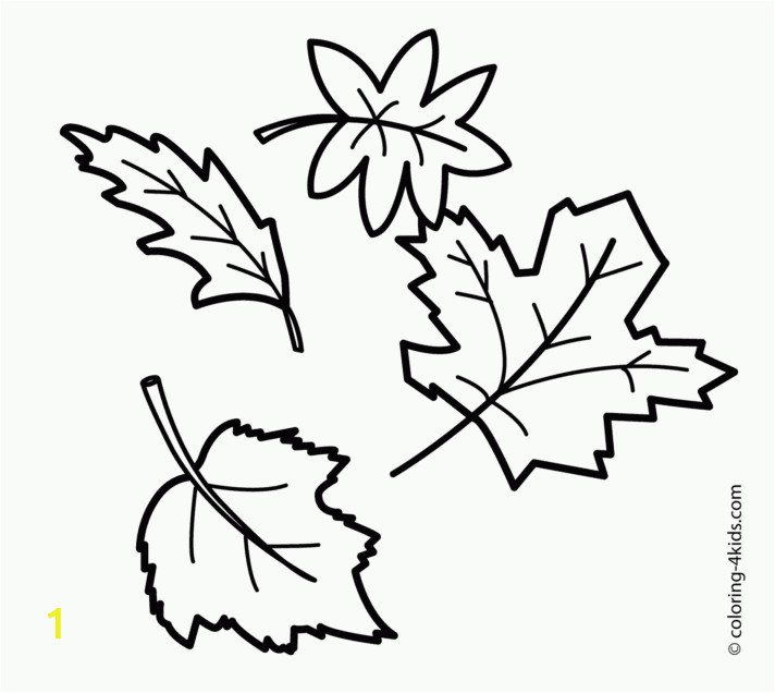 fall leaves coloring pages page photosintable free of stunning leaf to print photos pinnate cottonwood tree coconut types three clover willow tulip elm nettle different 712x636