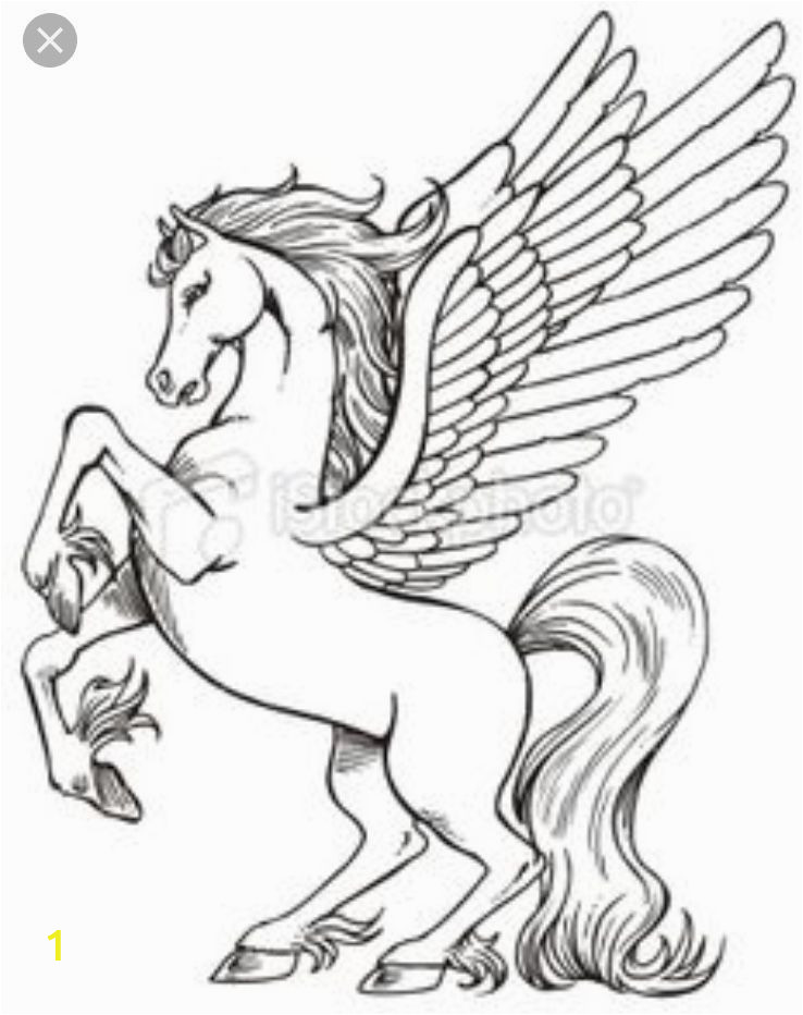 Unicorn Pegasus Coloring Pages Pin by Alyssa Donoho On Unicorn Magic